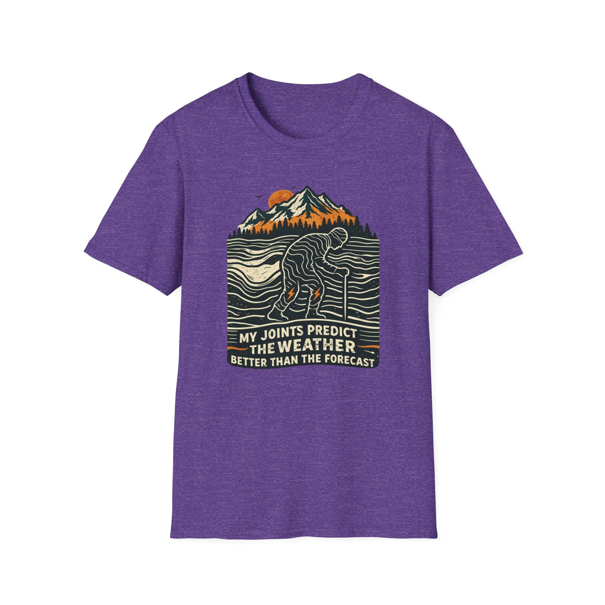 My Joints Predict The Weather Better Than The Forecast T-Shirt