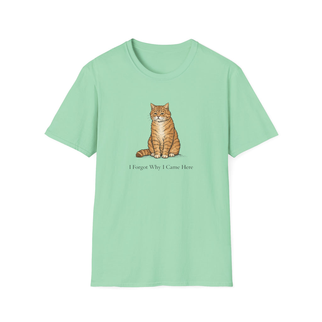 I Forgot Why I Came Here T-Shirt