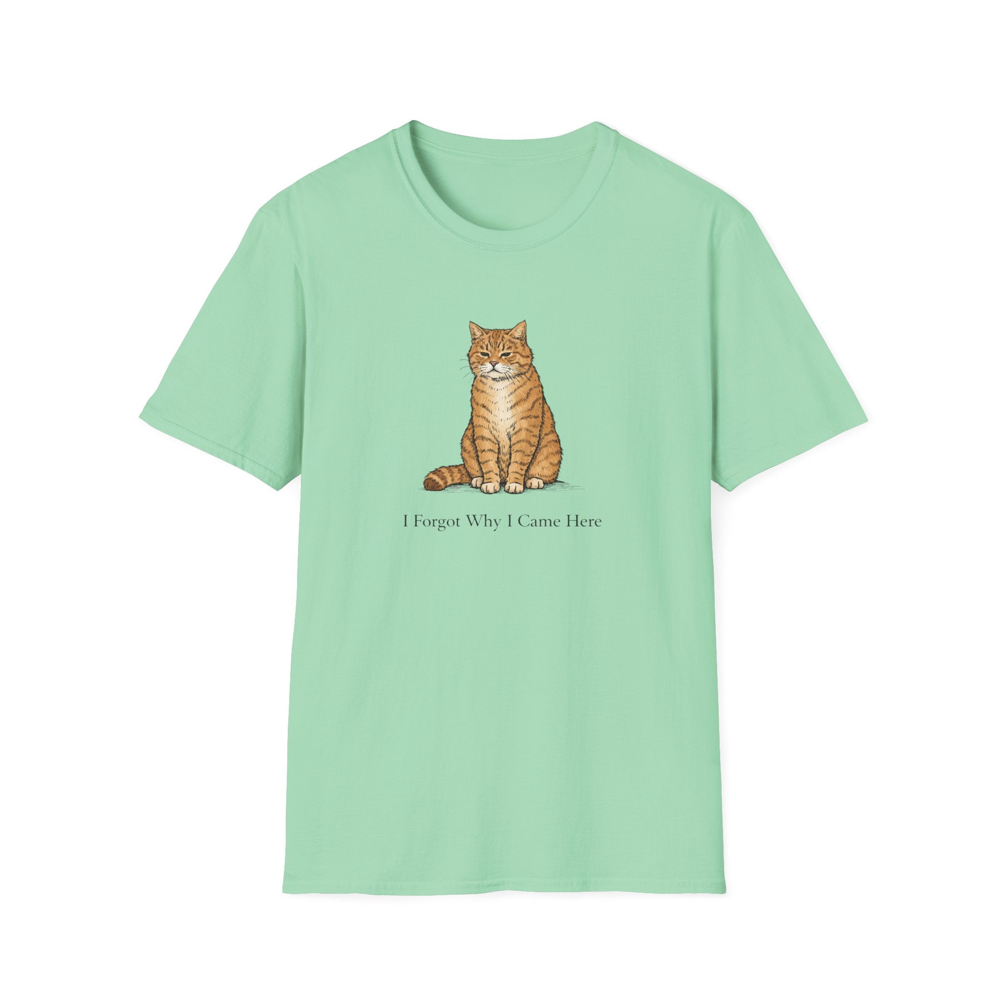 I Forgot Why I Came Here T-Shirt