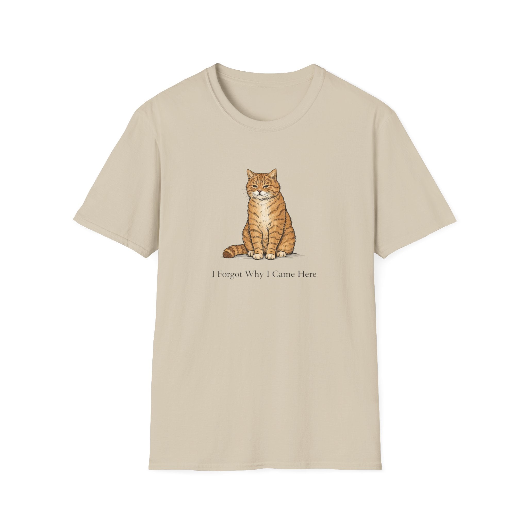 I Forgot Why I Came Here T-Shirt