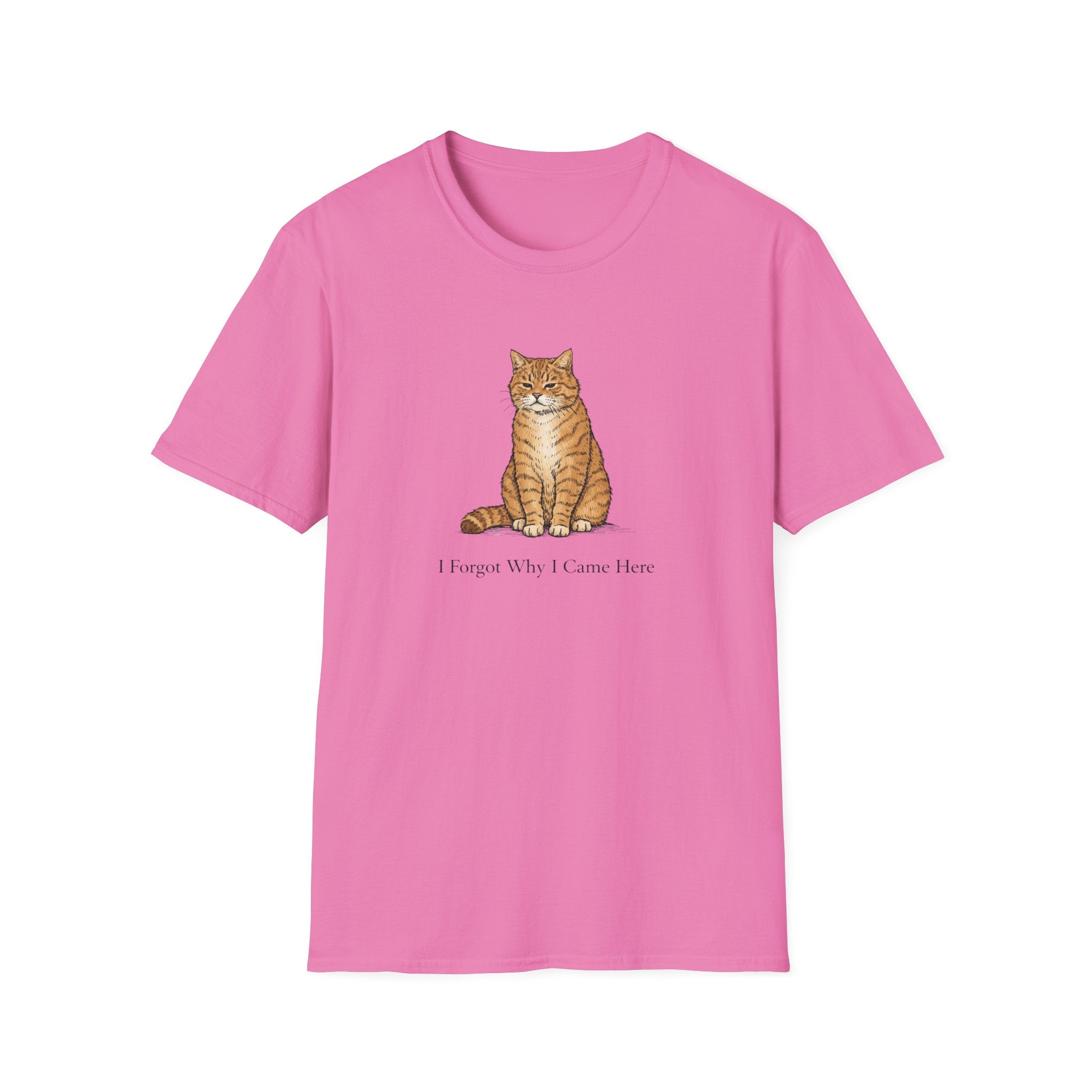 I Forgot Why I Came Here T-Shirt
